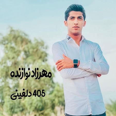 مهرزاد نوازنده 405 دلفینی